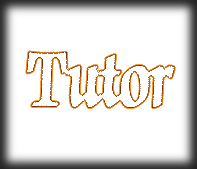 about the tutor